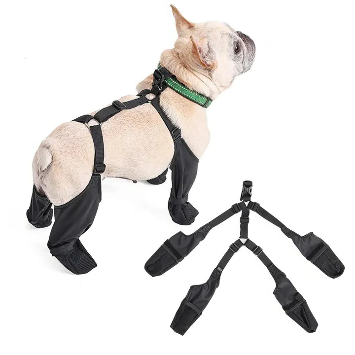 Olvoria | Adjustable Dog Shoes | Breathable, Waterproof and Non-Slip