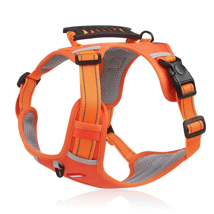 Olvoria | No-Pull Dog Harness with Padded Comfort and Reflective Safety
