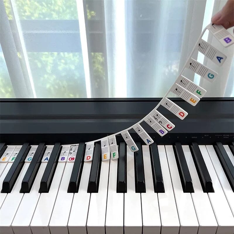 Olvoria | Removable Piano Keyboard Note Labels