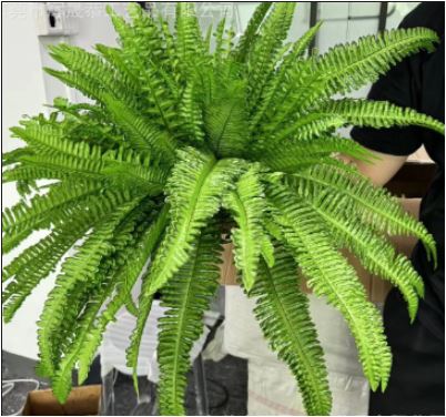 Olvoria | UV Resistant Lifelike Artificial Boston Fern