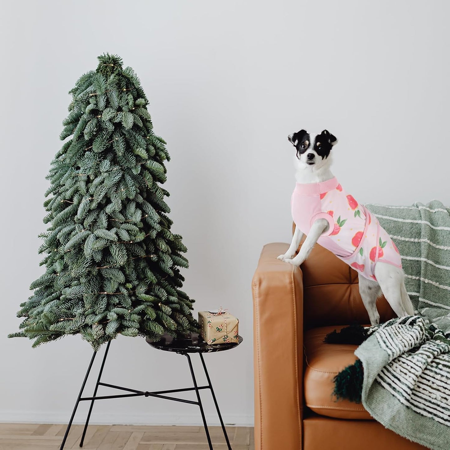 Quick Recovery Suit for Pets – Healing After Surgery