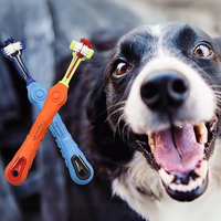 Brosse à dents triangulaire pour animaux en 2 pièces - Contrôle du tartre pour dents saines