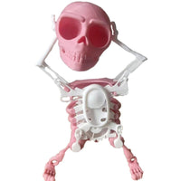 Jouet crâne 3D