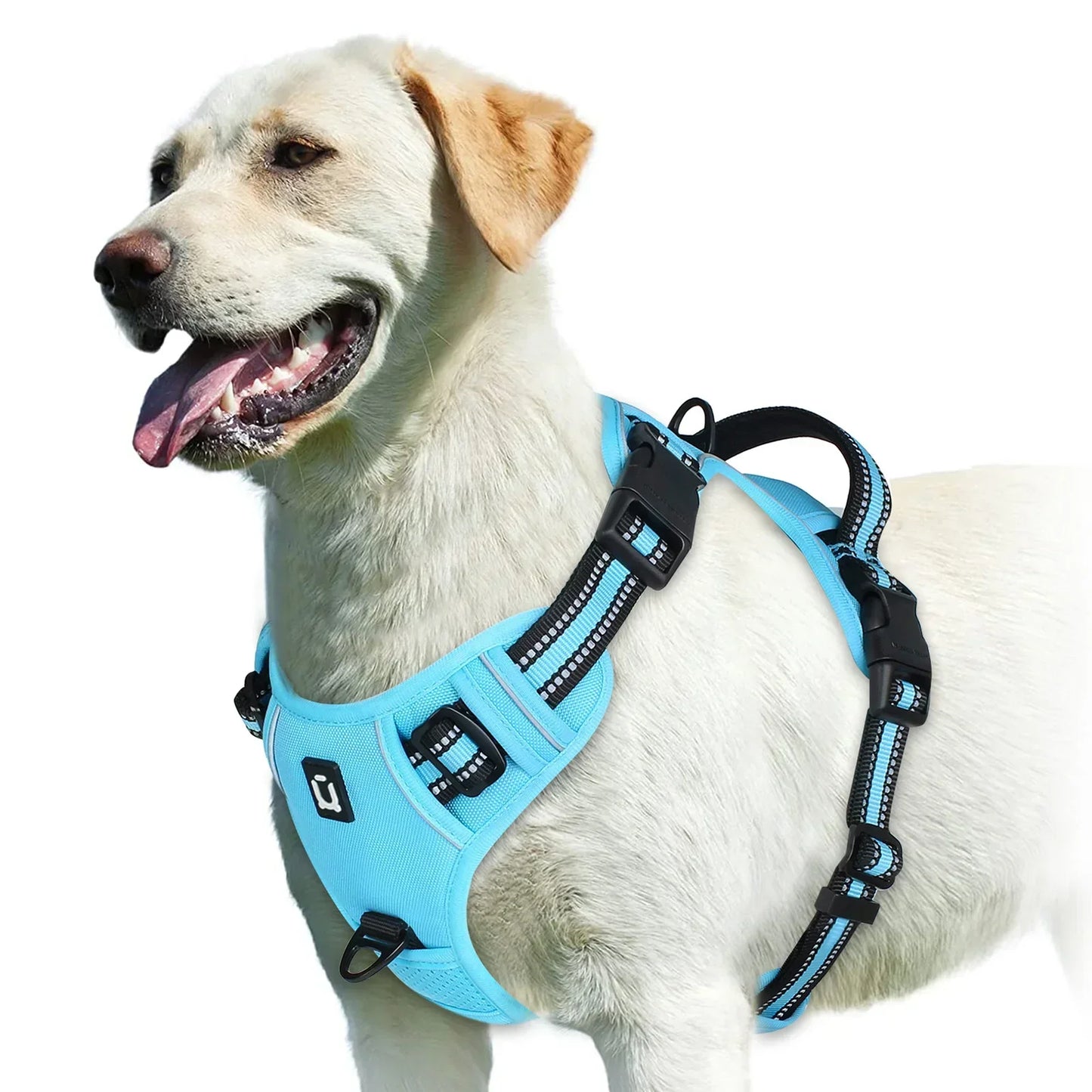 Adjustable Dog Harness for Comfortable Walks