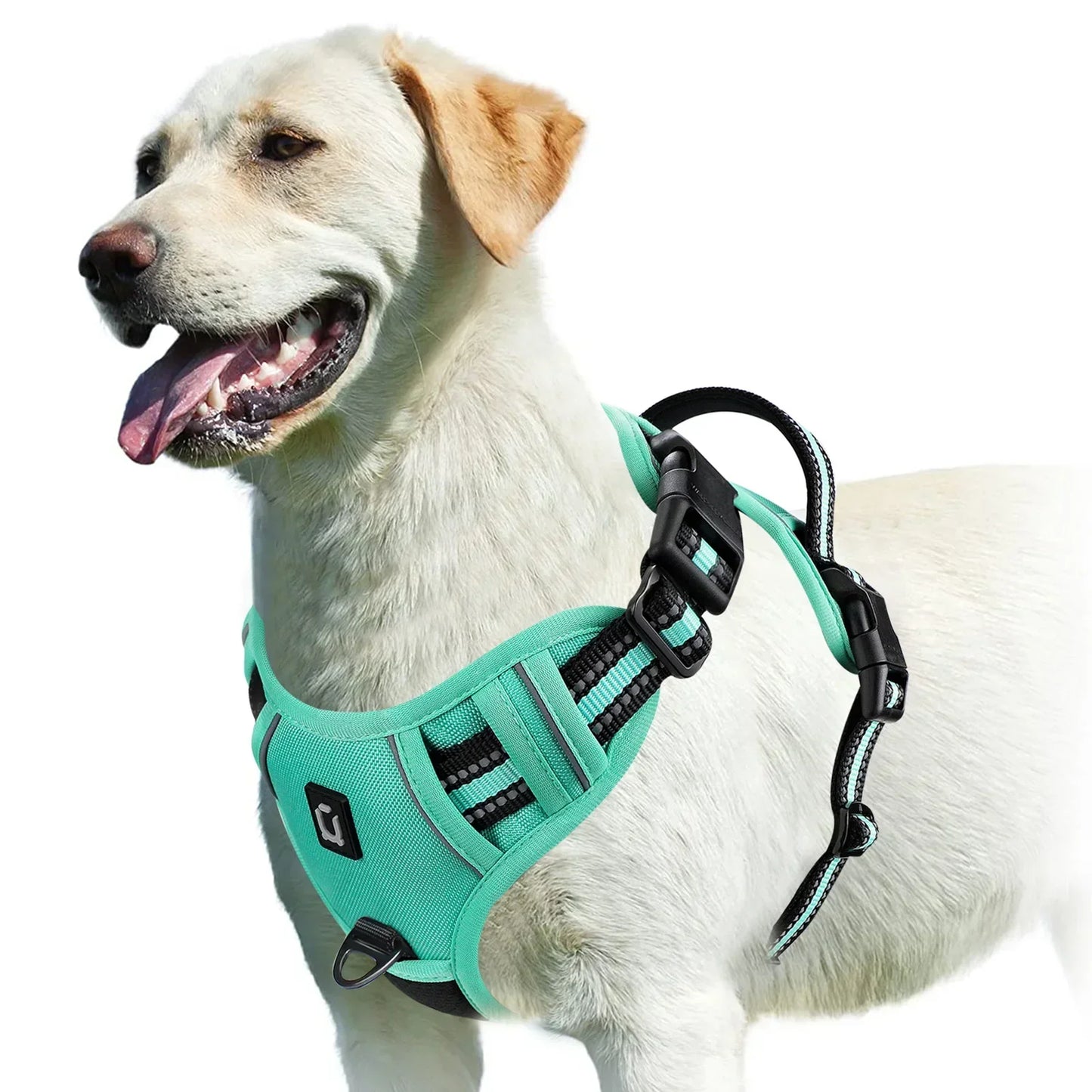 Adjustable Dog Harness for Comfortable Walks