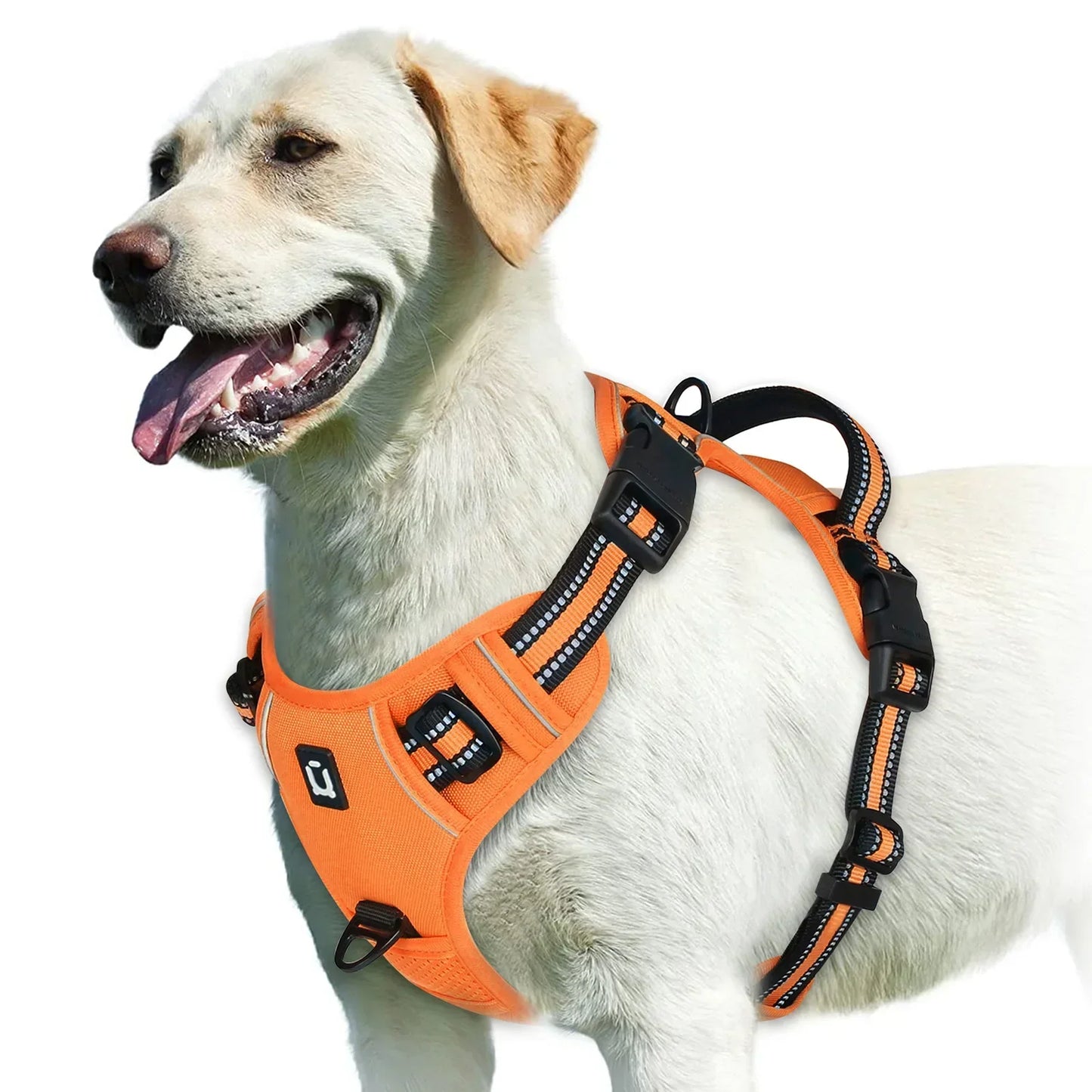 Adjustable Dog Harness for Comfortable Walks