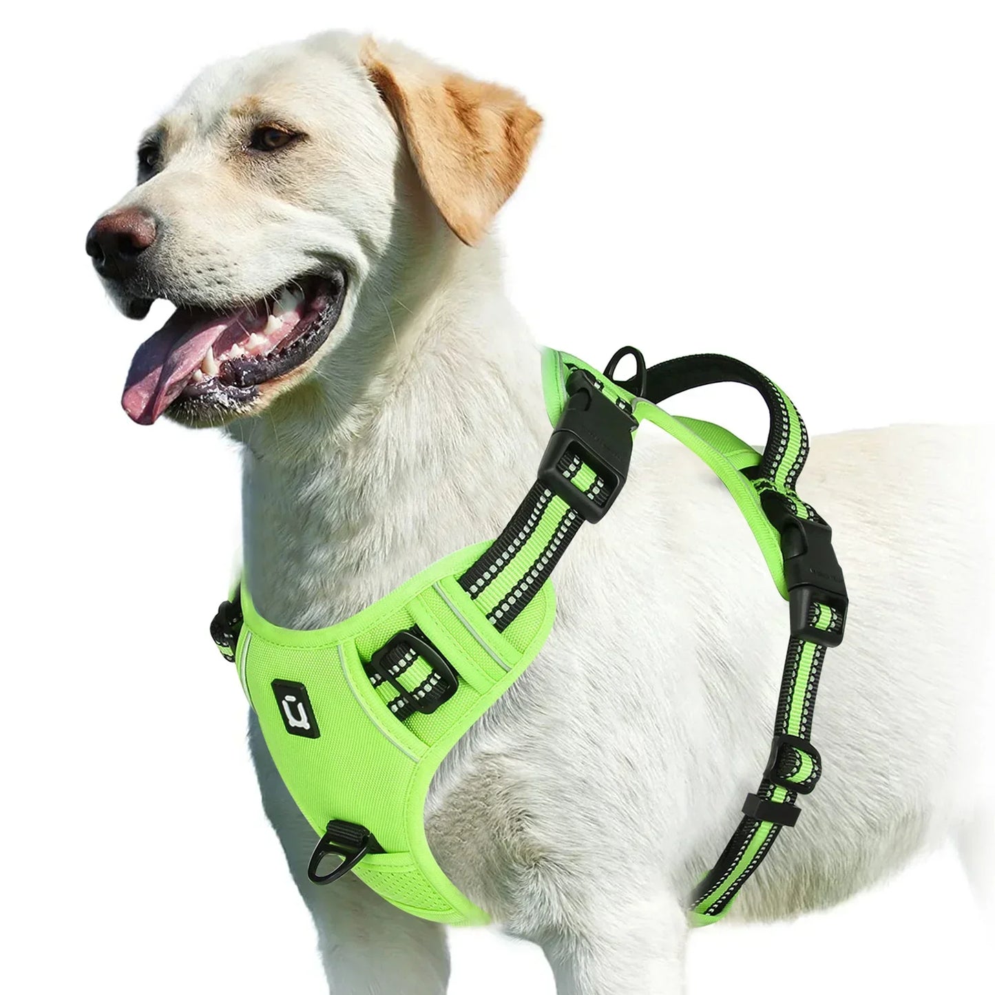 Adjustable Dog Harness for Comfortable Walks
