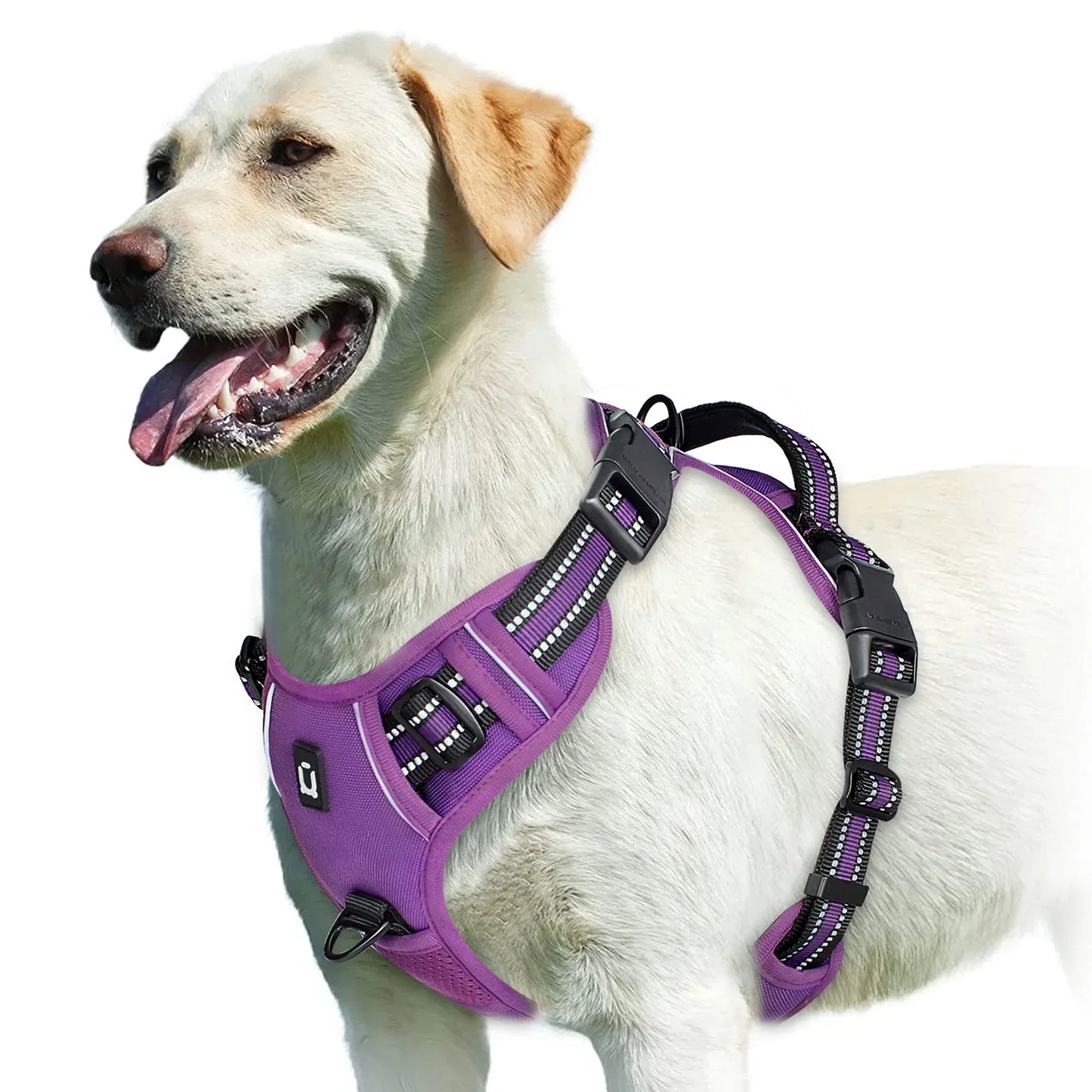 Adjustable Dog Harness for Comfortable Walks
