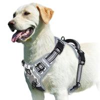 Harnais pour chien réglable pour des promenades confortables