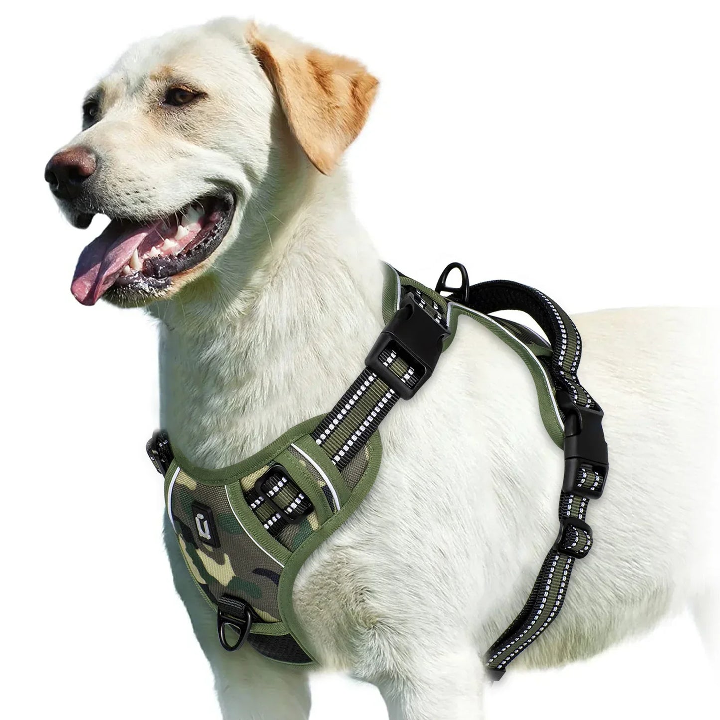 Adjustable Dog Harness for Comfortable Walks