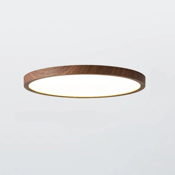 Aeris Minimalist Ceiling Light for Home | Olvoria