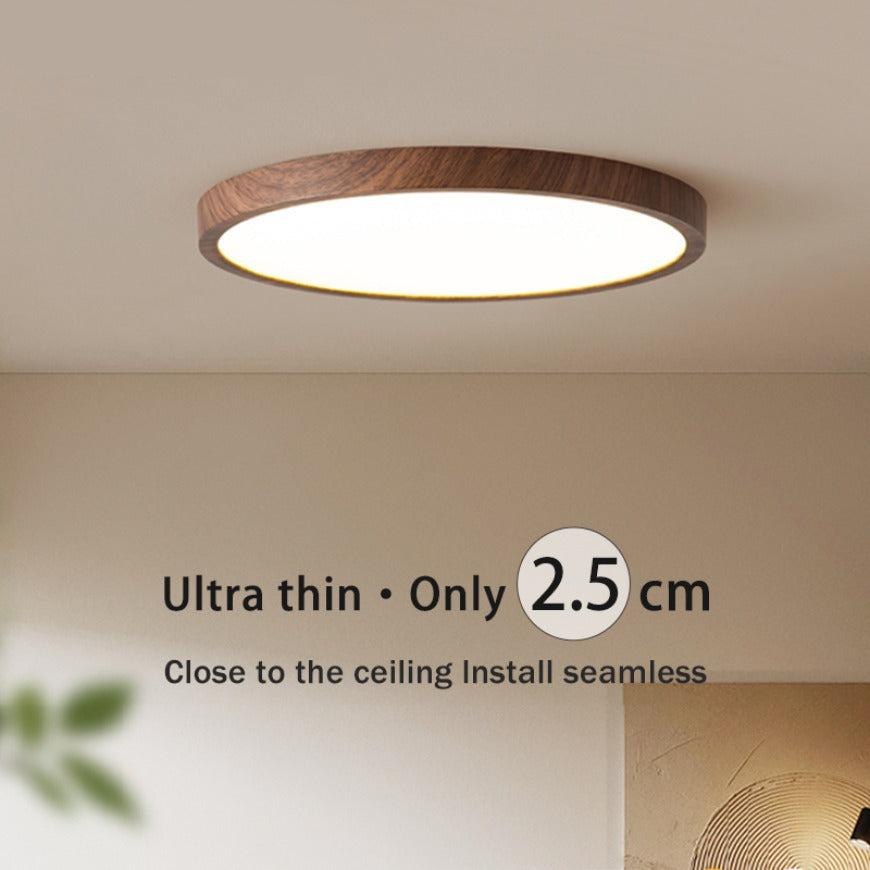 Aeris Minimalist Ceiling Light for Home | Olvoria