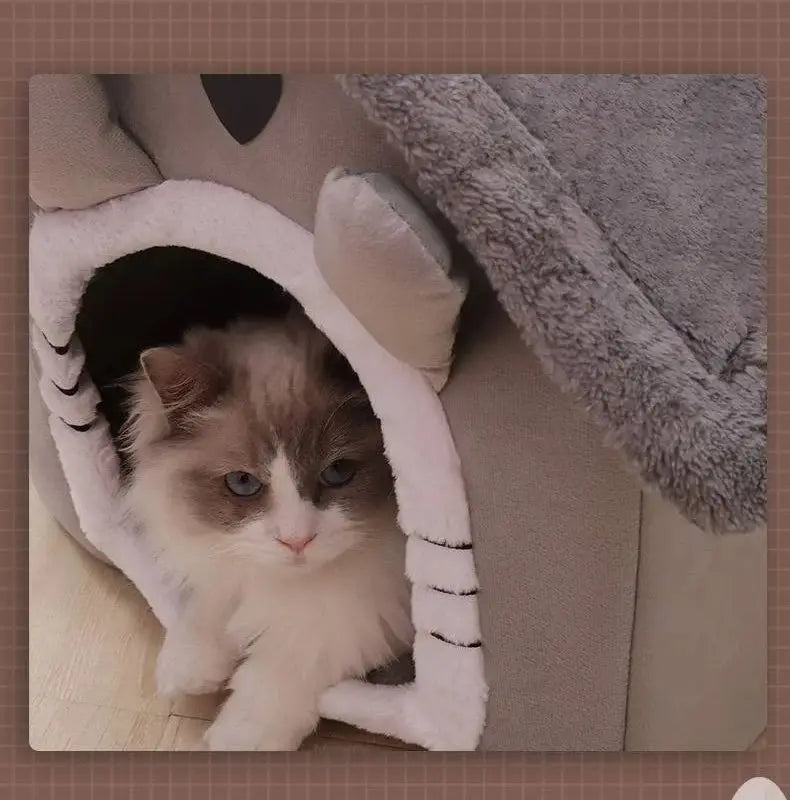 All-Season Pet Bed for Your Pet's Comfort