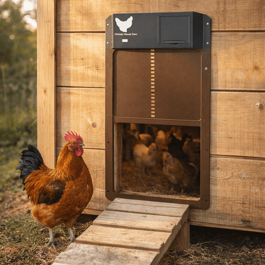 AUTOCOOP – Automatic Chicken Coop Door with Light Sensor & Weather Protection