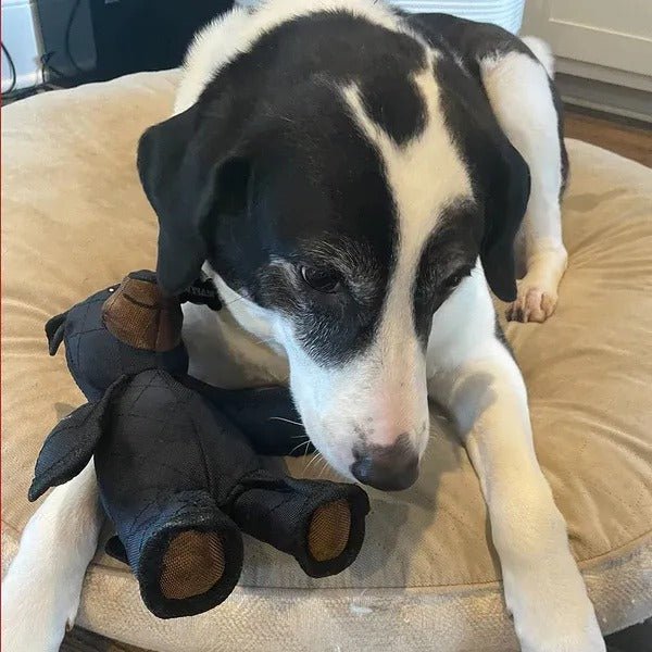 BEARBITE – Interactive Dog Toy for Strong Chewers