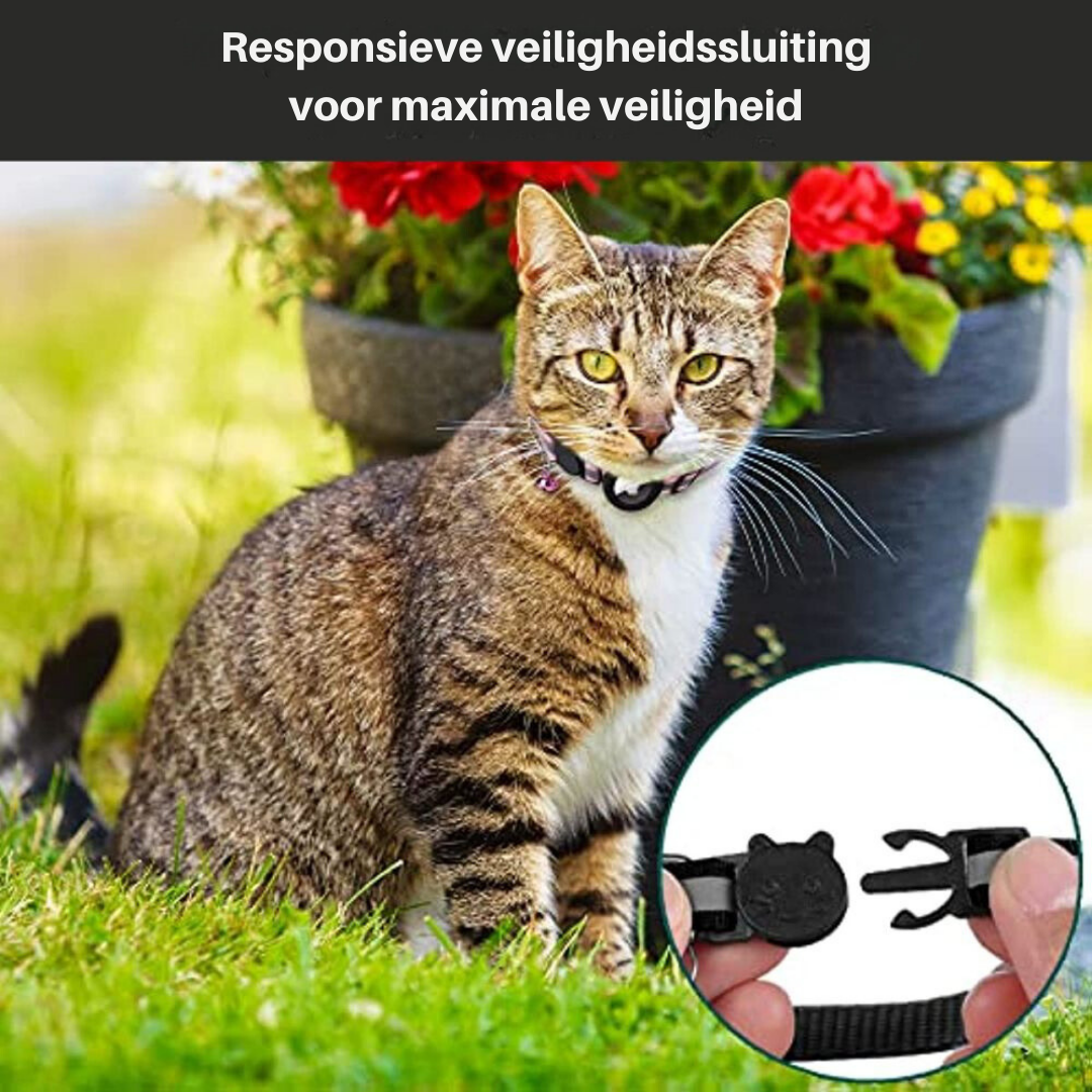 CAT GPS collar with quick-release fastener and reflective design for improved visibility at night
