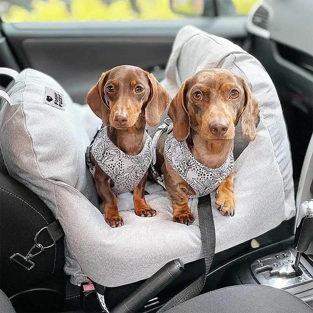 COMFYRIDE DOG SEAT – Dog seat bed with safety belt & non-slip bottom