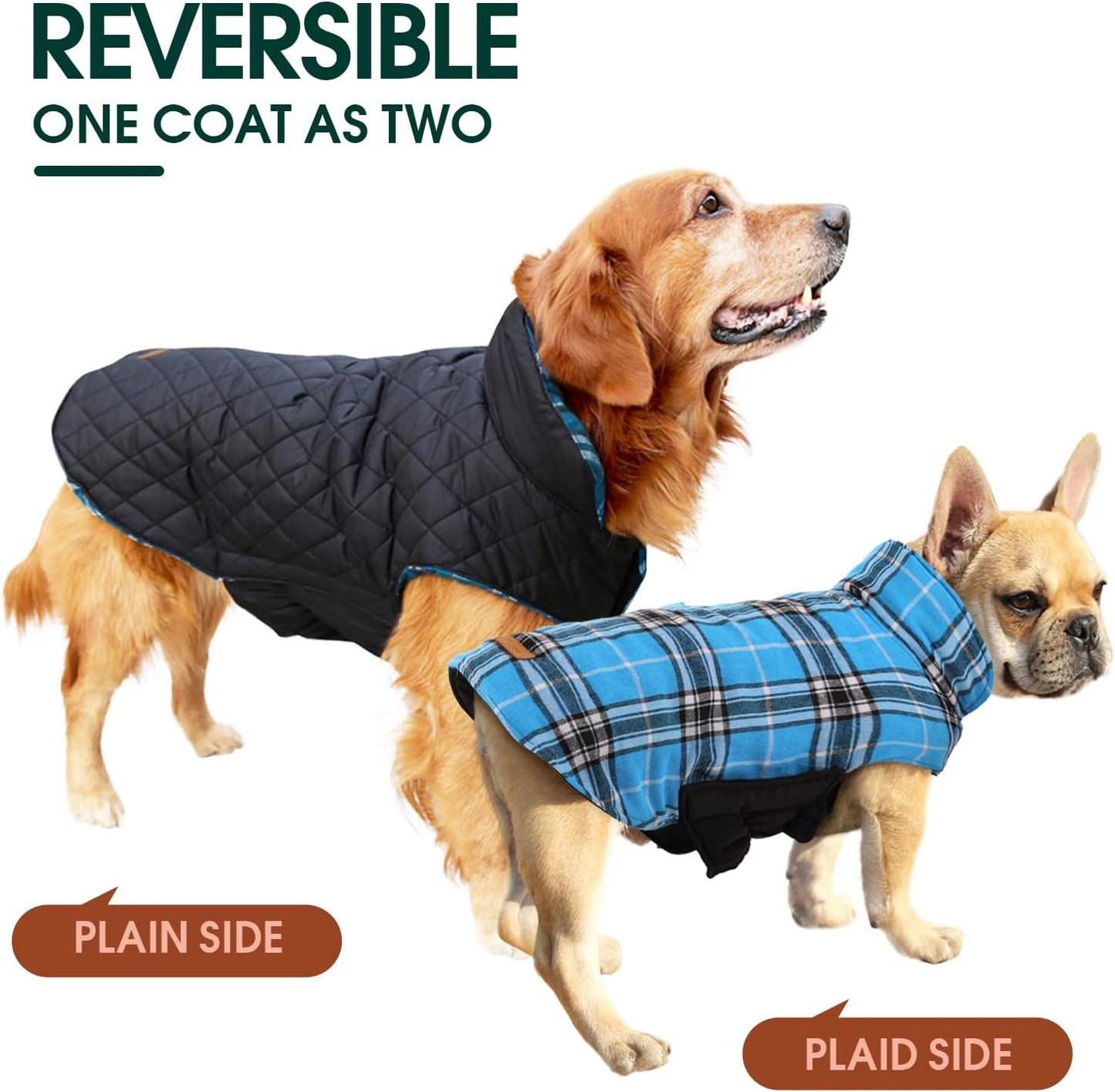 Cozy Waterproof Dog Jacket – Winter Coat in British Style
