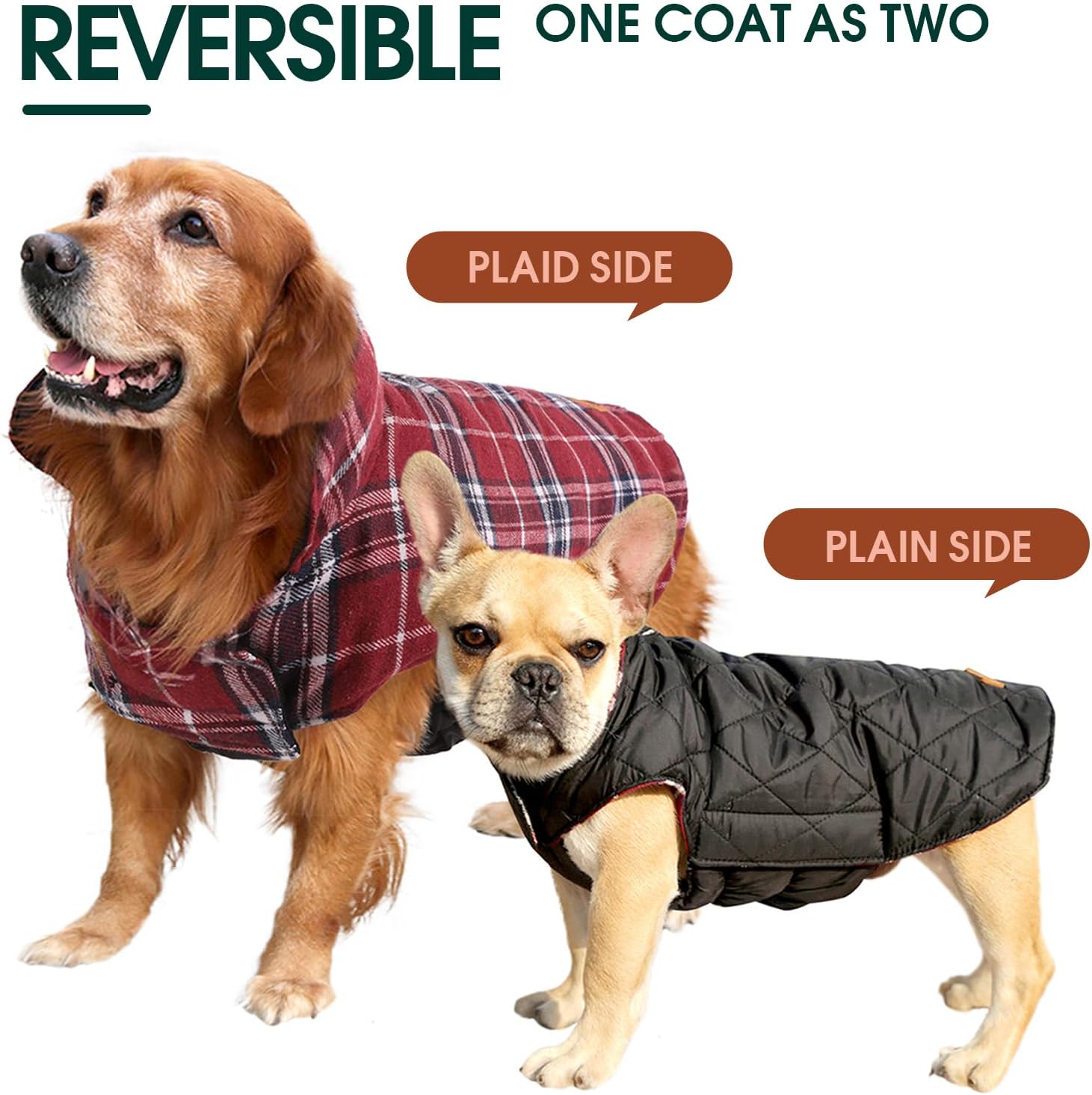 Cozy Waterproof Dog Jacket – Winter Coat in British Style