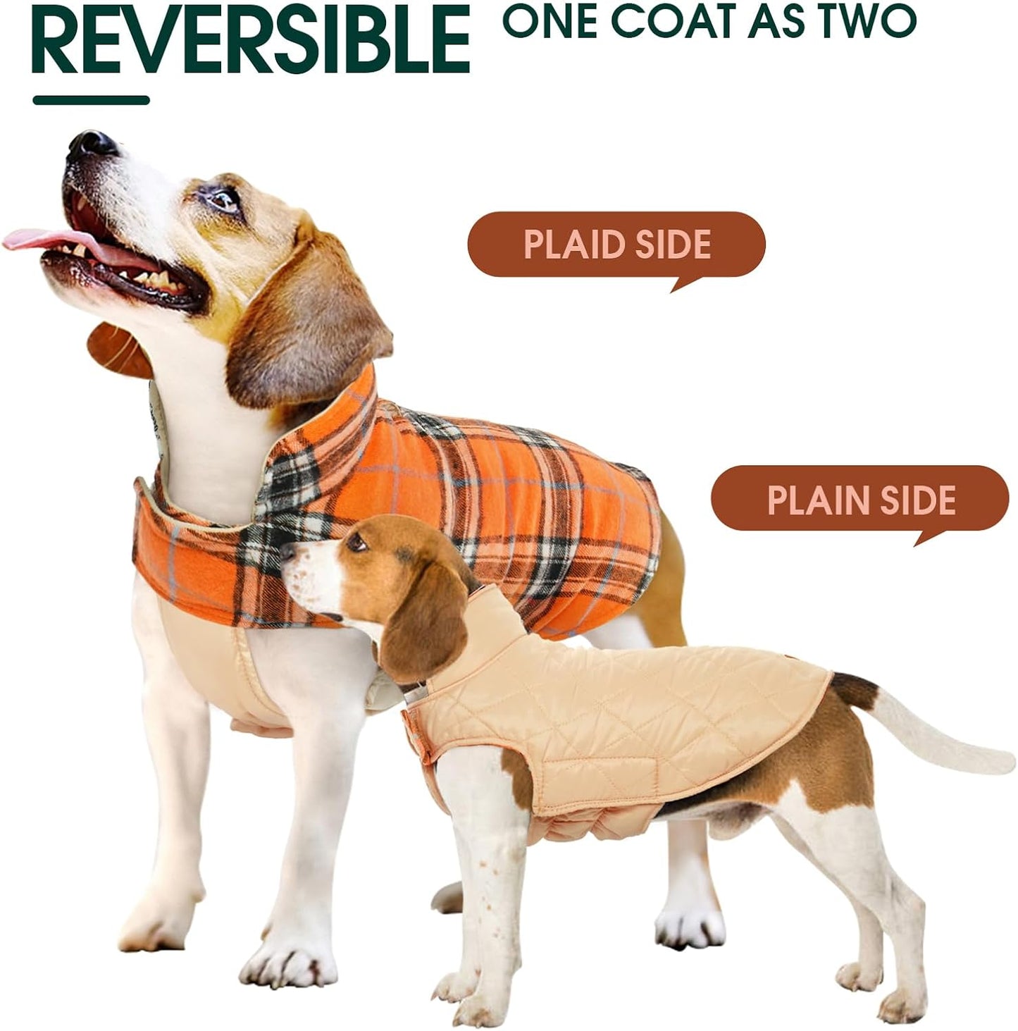 Cozy Waterproof Dog Jacket – Winter Coat in British Style