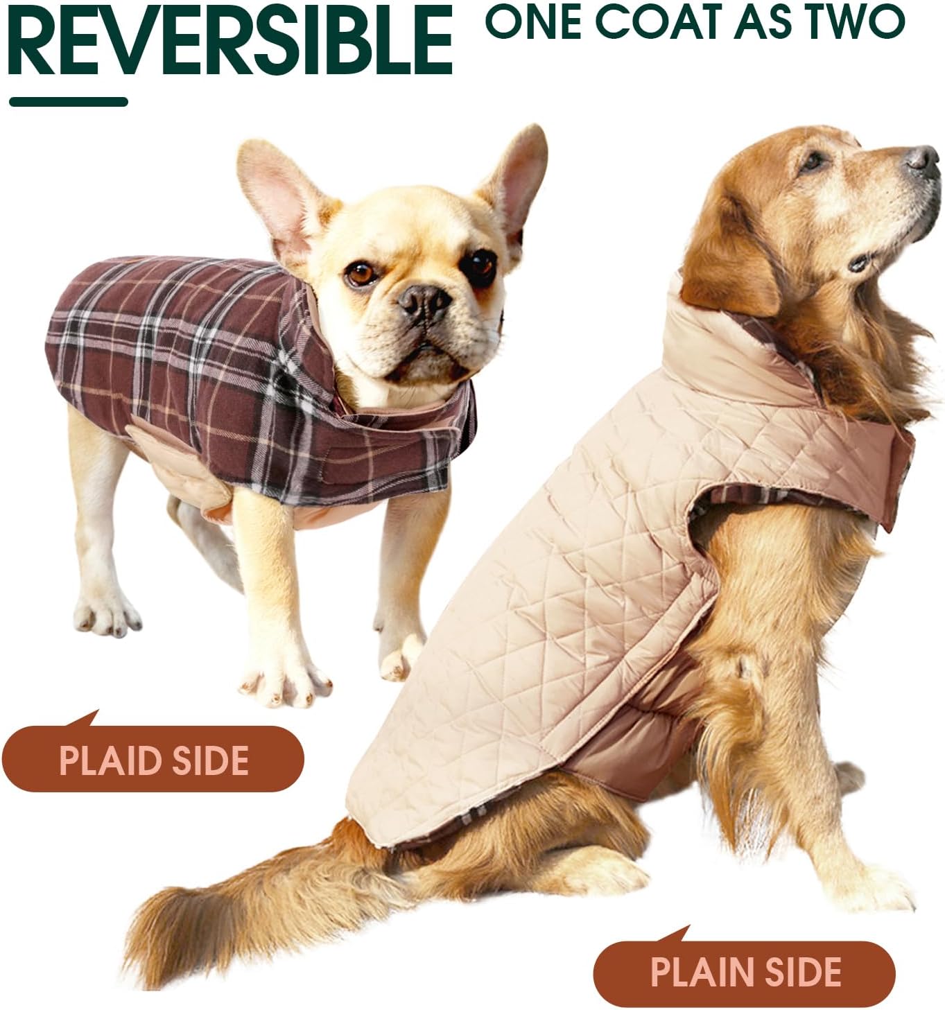 Cozy Waterproof Dog Jacket – Winter Coat in British Style