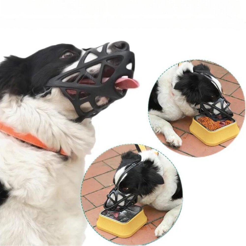 DOGORA – Gentle Dog Muzzle for Safe Everyday Situations