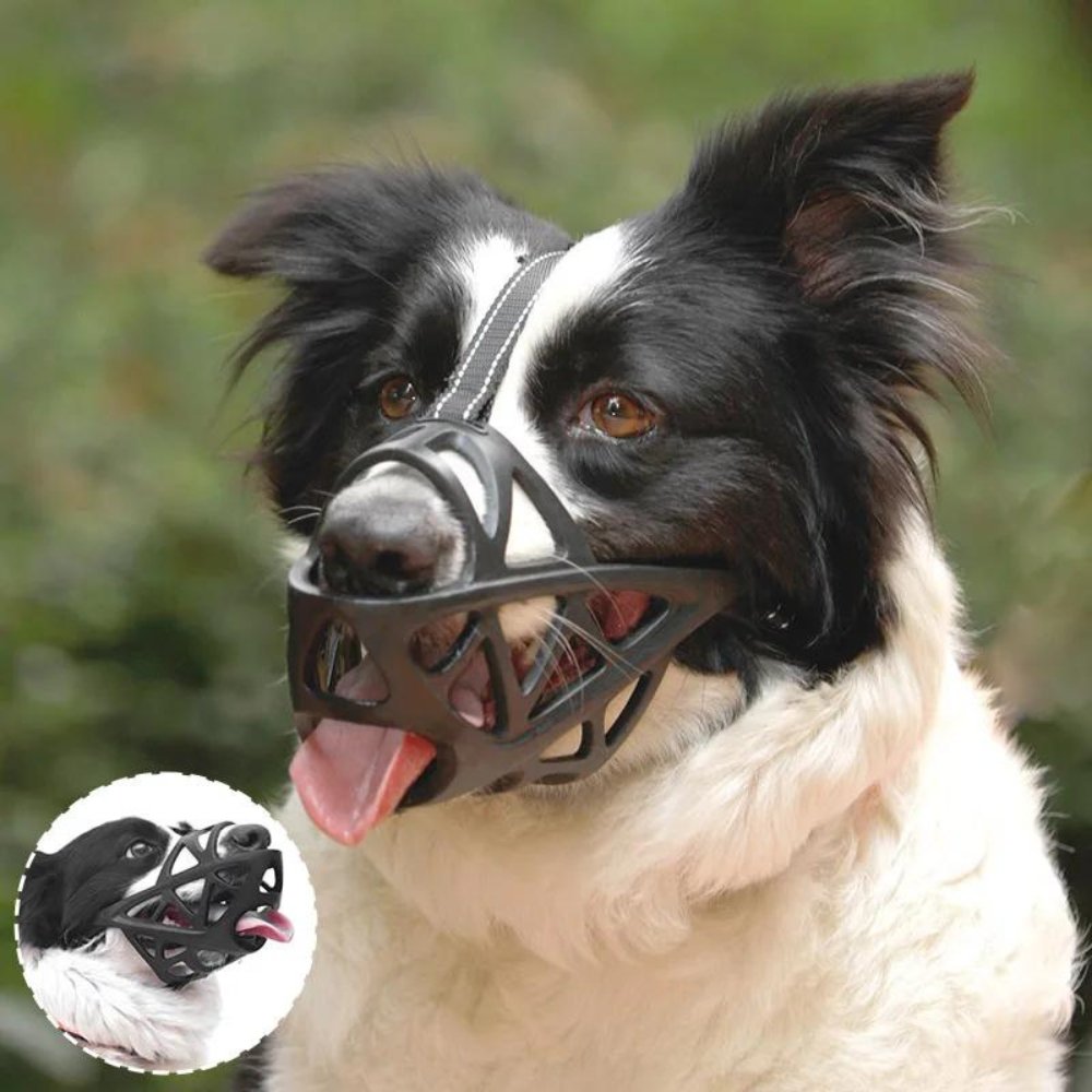 DOGORA – Gentle Dog Muzzle for Safe Everyday Situations