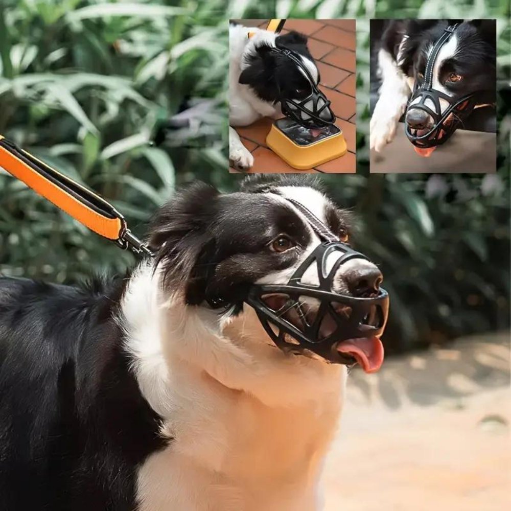 DOGORA – Gentle Dog Muzzle for Safe Everyday Situations
