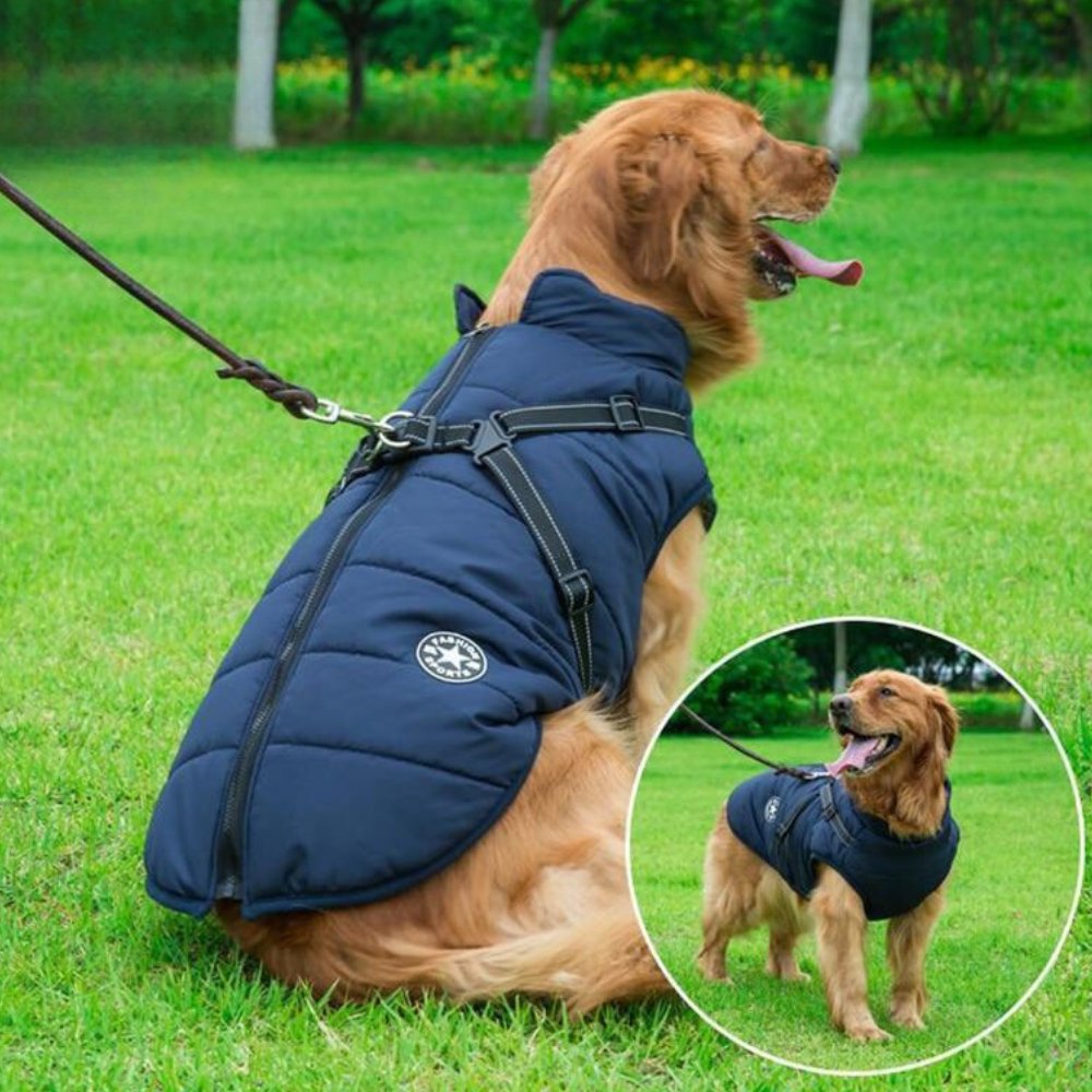 DryPaw • Waterproof Dog Coat