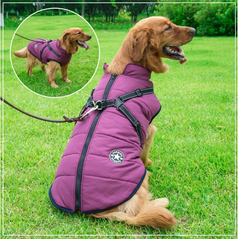 DryPaw • Waterproof Dog Coat