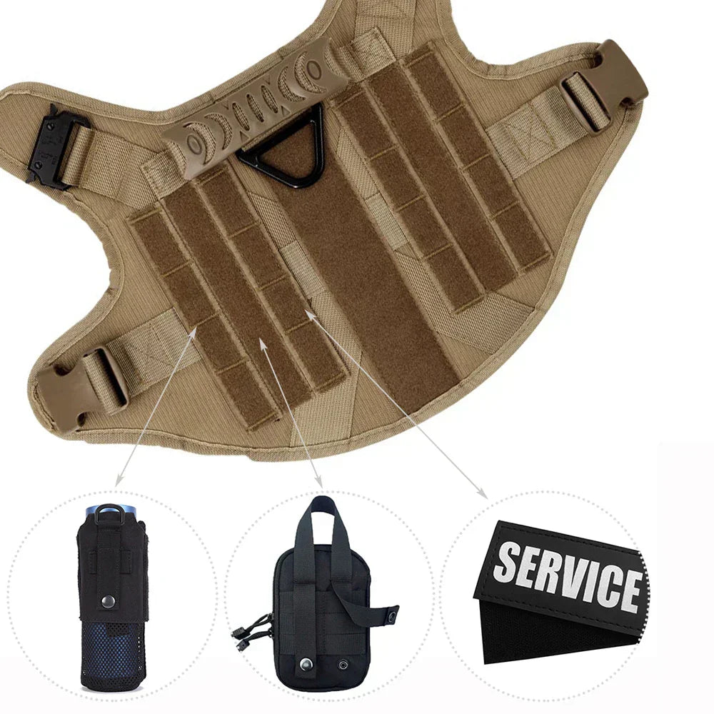 Durable Set for Active Dogs