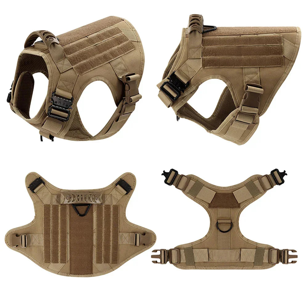 Durable Set for Active Dogs