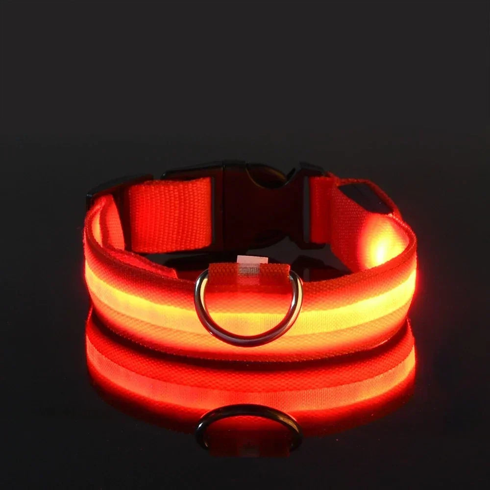 LED Fluorescent Dog Collar for Safe Evening Walks