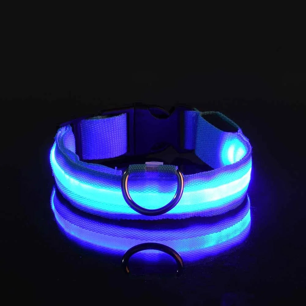 LED Fluorescent Dog Collar for Safe Evening Walks