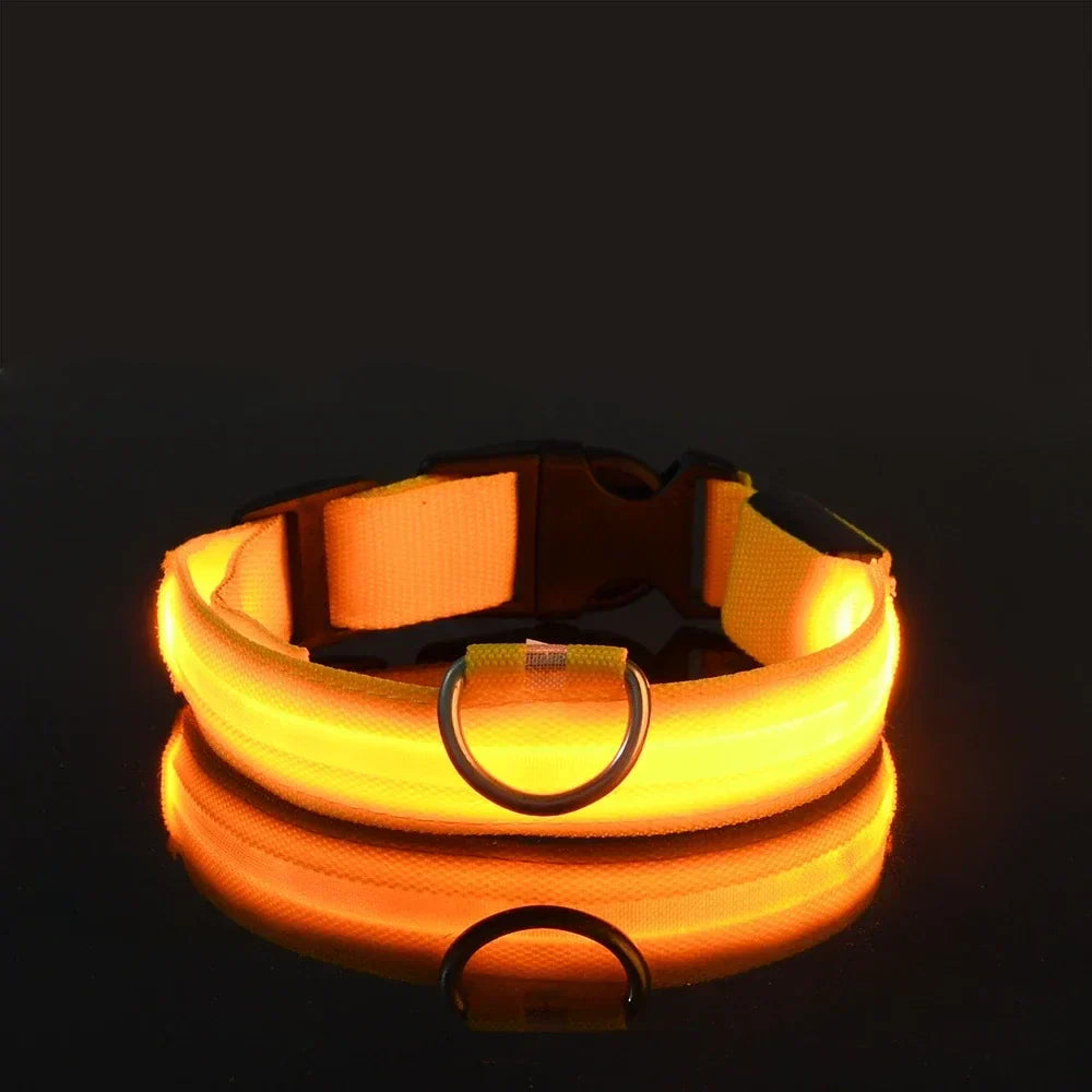 LED Fluorescent Dog Collar for Safe Evening Walks