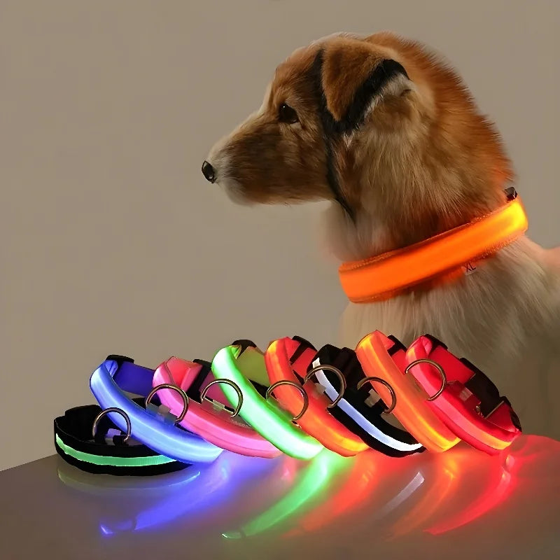 LED Fluorescent Dog Collar for Safe Evening Walks