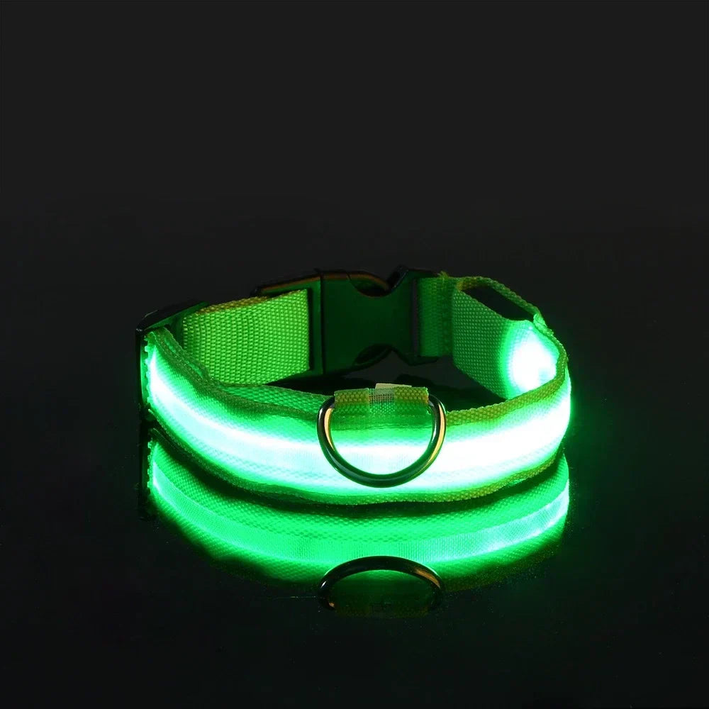 LED Fluorescent Dog Collar for Safe Evening Walks