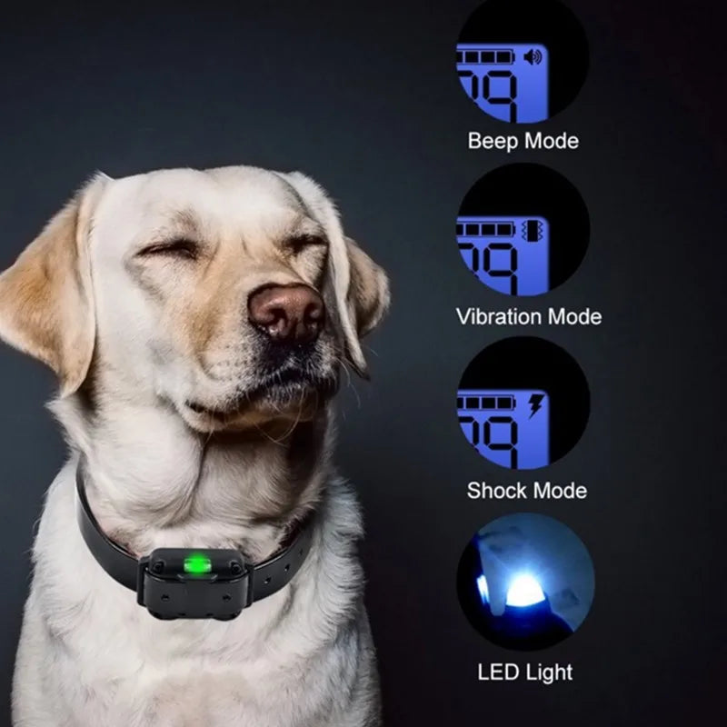 Norvo | Electric Training Collar for Dogs E-Collar – Safe, Effective, Remote Control