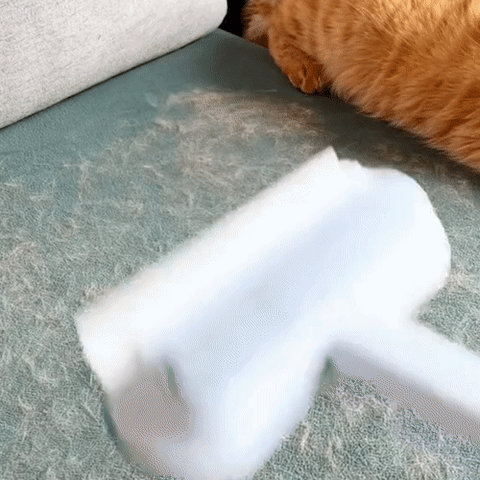 Olvoria | 3-in-1 Pet Hair Remover - Petclean Pro