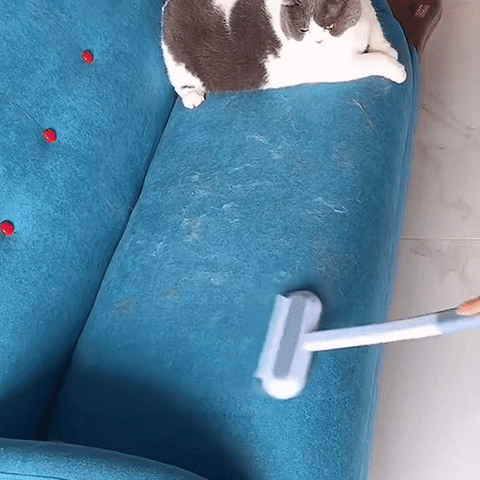 Olvoria | 3-in-1 Pet Hair Remover - Petclean Pro