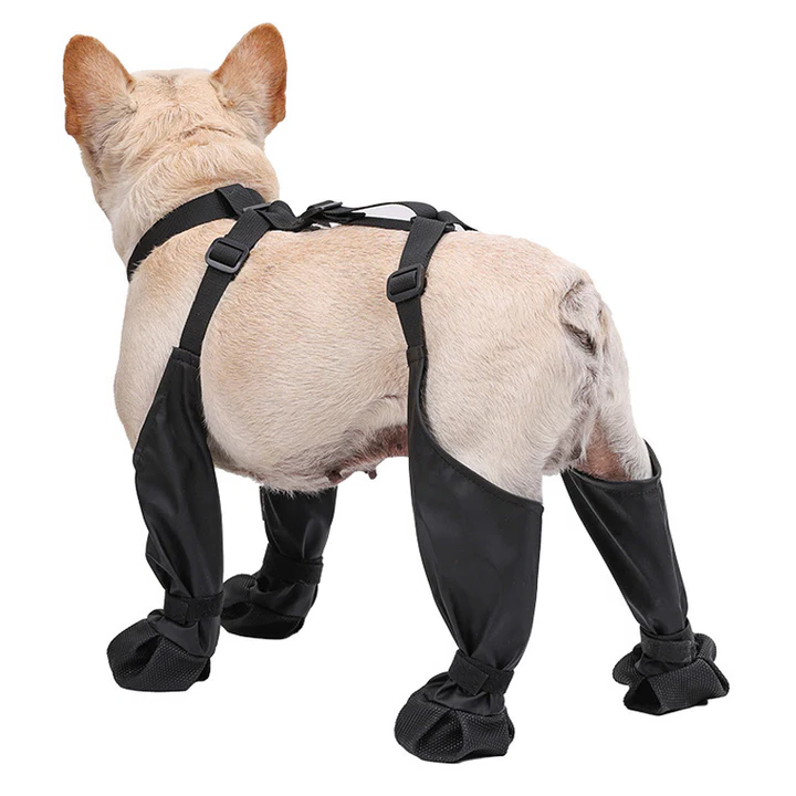 Olvoria | Adjustable Dog Shoes | Breathable, Waterproof and Non-Slip