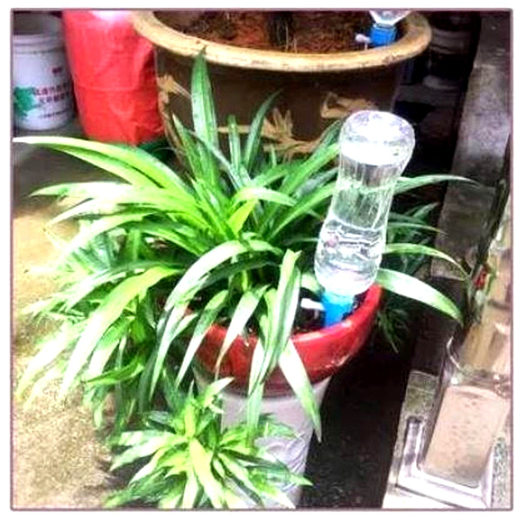 Olvoria | Adjustable Plant Watering Spikes for Gardens & Potted Plants