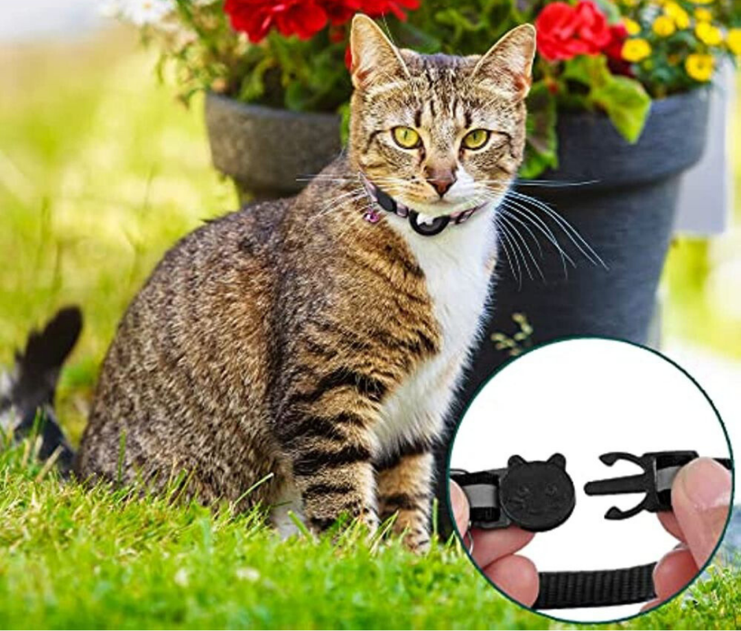 Olvoria | Cat GPS Tracking Collar | Quick Release Lock, Reflective Design & Durable for Outdoor Safety Adventures
