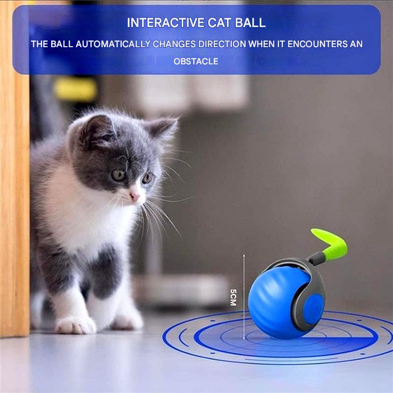 Olvoria | Cat Rolling Ball Toy – Motion Activated Play Sphere