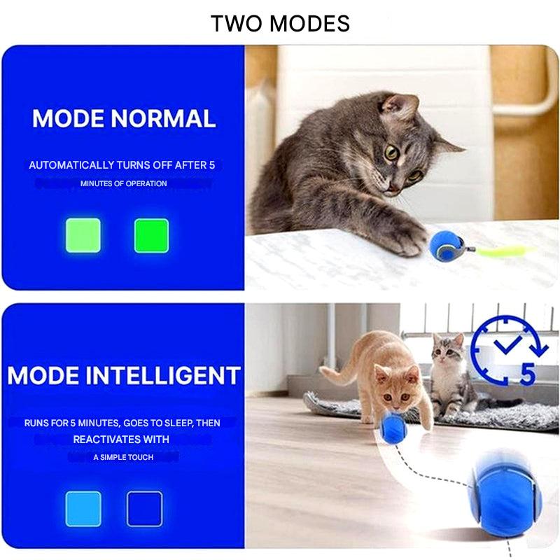 Olvoria | Cat Rolling Ball Toy – Motion Activated Play Sphere