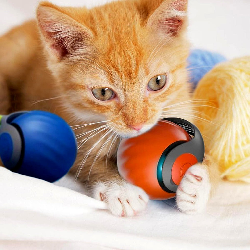 Olvoria | Cat Rolling Ball Toy – Motion Activated Play Sphere