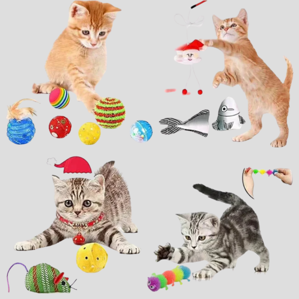 Olvoria | Cat Toy Advent Calendar for Daily Play