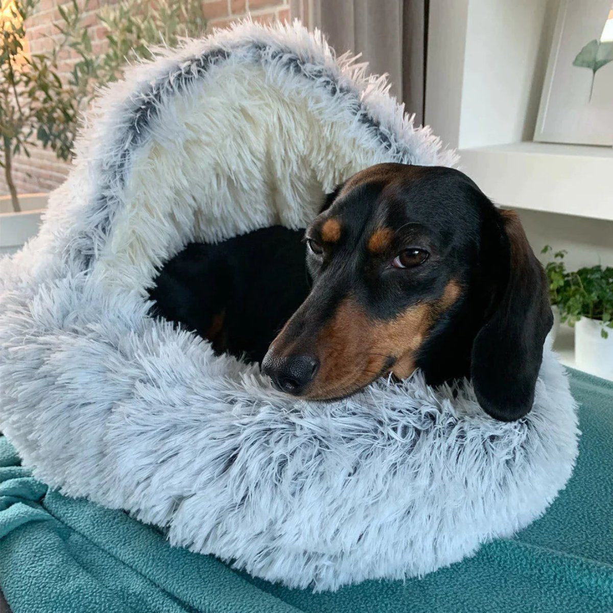 Olvoria | Cozy Cave Pet Bed | Soothing and Comfortable Dog Bed for Deep Relaxation