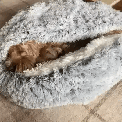 Olvoria | Cozy Cave Pet Bed | Soothing and Comfortable Dog Bed for Deep Relaxation