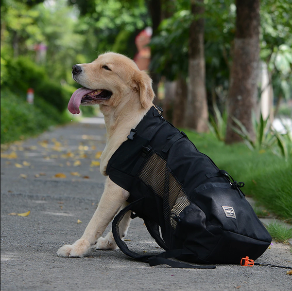 Olvoria | Dog Backpack Carrier
